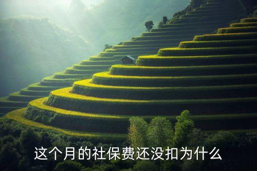 為什么7月社保沒有扣費，這個月的社保費還沒扣為什么...